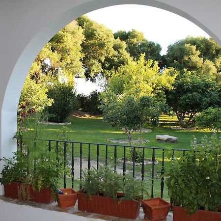 Cortijo El Indiviso Pensionat Vejer de la Frontera Værelse billede