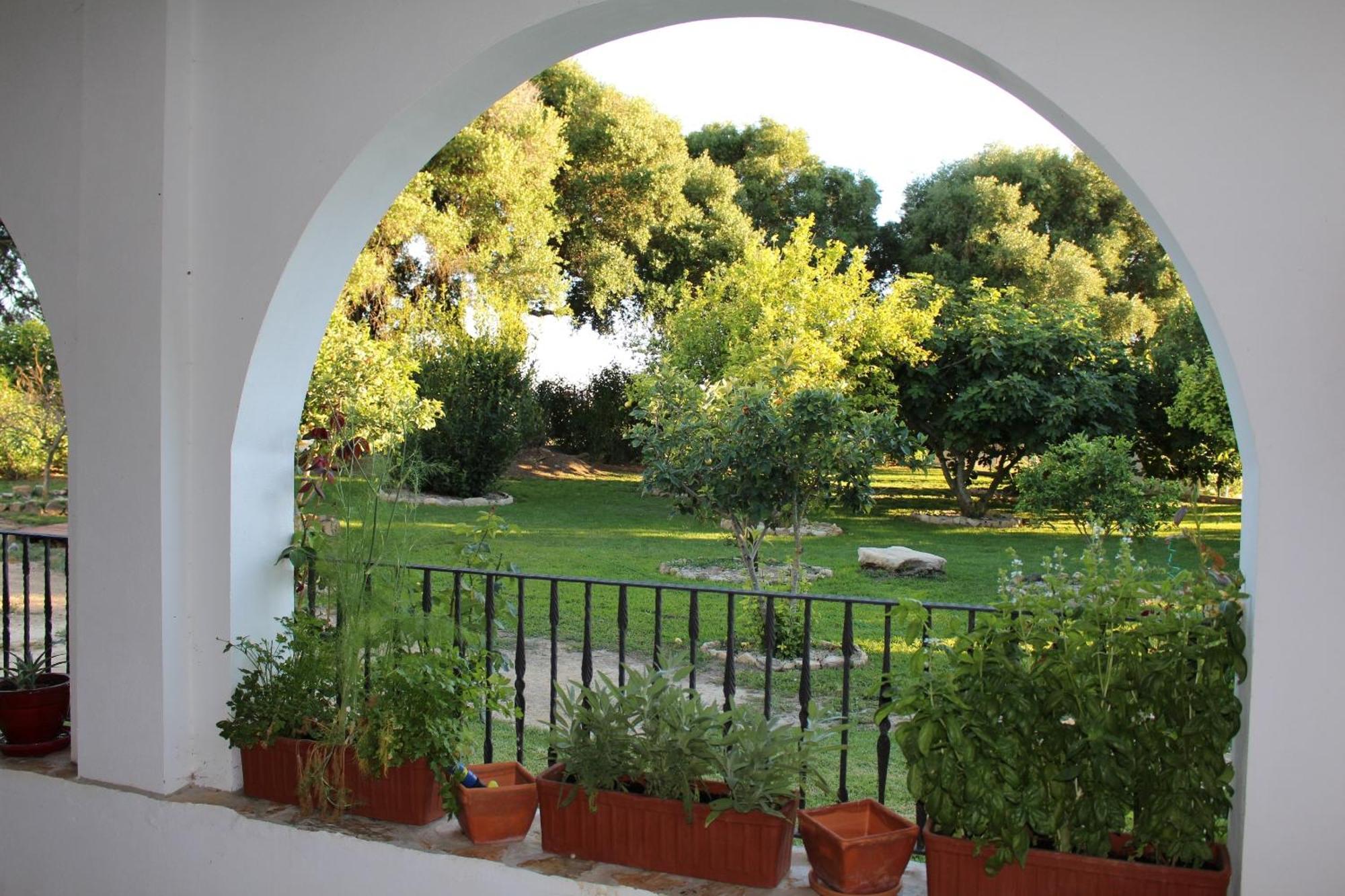 Cortijo El Indiviso Pensionat Vejer de la Frontera Værelse billede